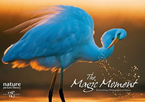 Magic Moment: Extraordinary Photographs of Nature - Anna Levin - Books - White Star - 9788854410688 - November 1, 2016