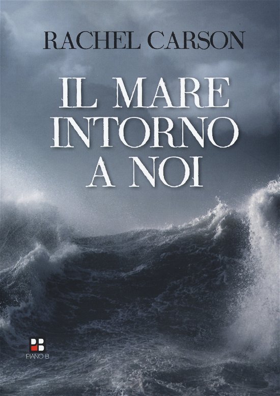 Cover for Rachel Carson · Il Mare Intorno A Noi (Book)