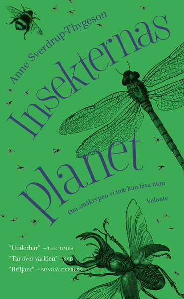 Cover for Anne Sverdrup-Thygeson · Insekternas planet (Paperback Book) (2020)