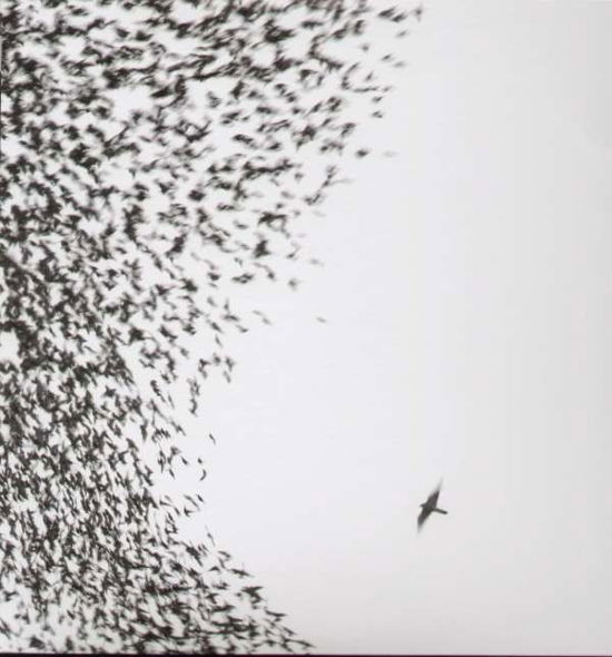 Sky Blue Sky - Wilco - Music - NONESUCH - 0075597998689 - May 15, 2007