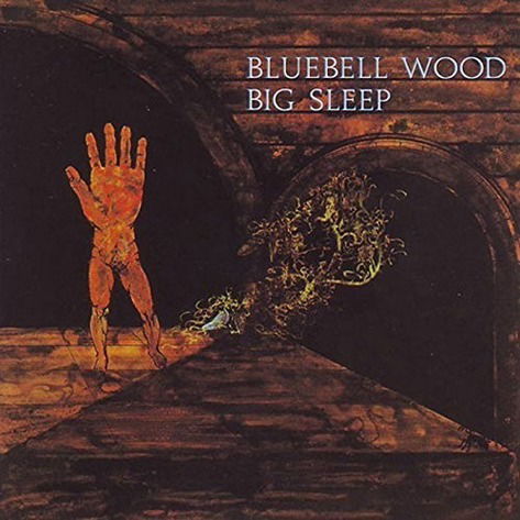 Bluebell Wood - Big Sleep - Music - J1 - 4988044372689 - November 7, 2002