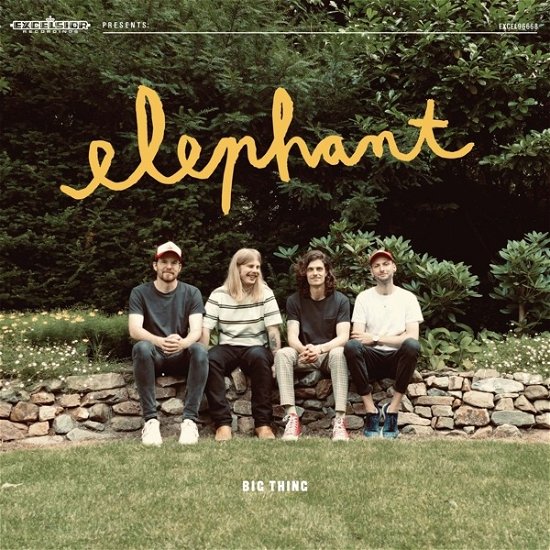 Cover for Elephant · Big Thing (LP) (2022)