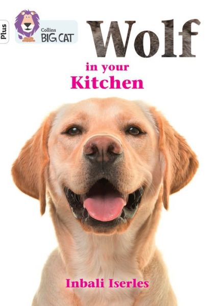 Cover for Inbali Iserles · Wolf in your kitchen: Band 10+/White Plus - Collins Big Cat (Paperback Book) (2022)