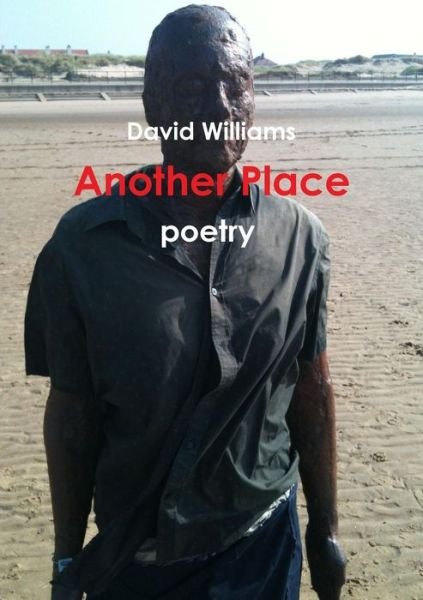 Cover for David Williams · Another Place (Paperback Bog) (2015)