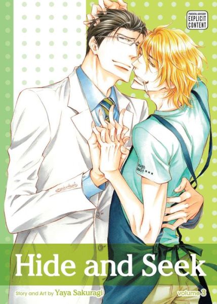 Cover for Yaya Sakuragi · Hide and Seek, Vol. 3 - Hide and Seek (Paperback Book) (2015)