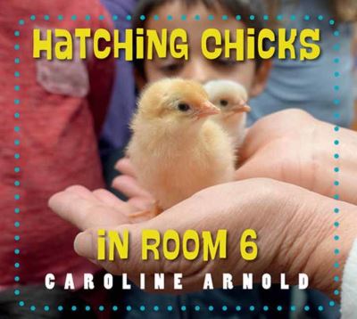 Cover for Caroline Arnold · Hatching Chicks in Room 6 (Paperback Book) (2024)