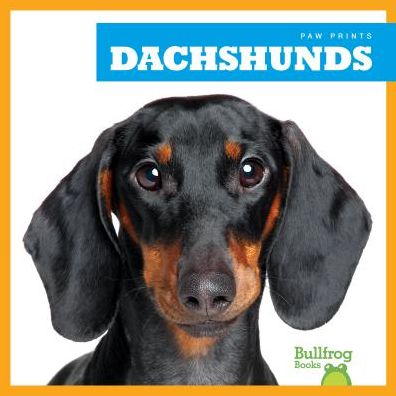 Cover for Kaitlyn Duling · Dachshunds - Paw Prints (Hardcover Book) (2019)