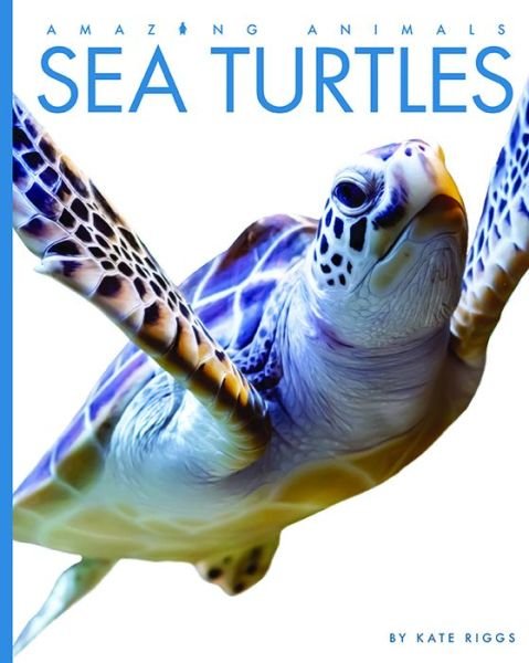 Cover for Kate Riggs · Sea Turtles (Pocketbok) (2022)