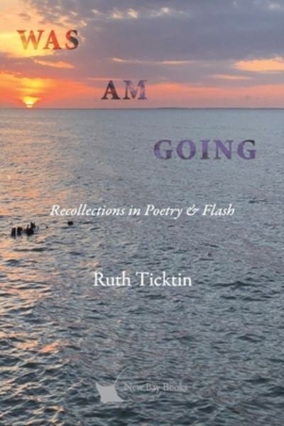 Cover for New Bay Books LLC · Was Am Going (Paperback Book) (2021)