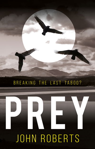 Prey - John Roberts - Books - Troubador Publishing - 9781789013689 - July 28, 2018