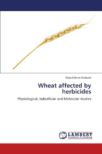 Cover for Deya Eldeen Radwan · Wheat Affected by Herbicides: Physiological, Subcellular and Molecular Studies (Paperback Bog) (2013)