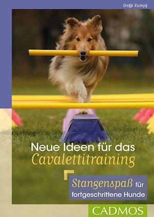 Cover for Steffi Rumpf · Neue Ideen für das Cavalettitraining (Book) (2022)