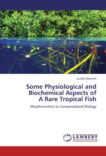 Cover for Surajit Debnath · Some Physiological and Biochemical Aspects of  a Rare Tropical Fish: Morphometrics to Computational Biology (Paperback Book) (2012)