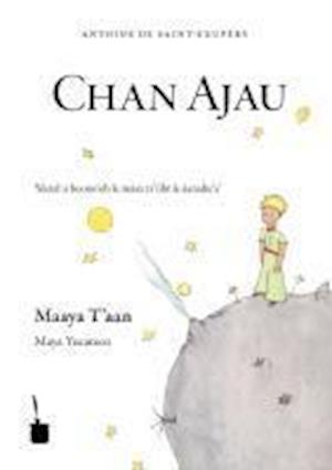 Cover for Antoine de Saint-Exupéry · Der kleine Prinz-Maya Yucateco (Paperback Book) (2010)