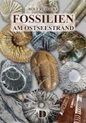 Fossilien am Ostseestrand - Rolf Reinicke - Books - Demmler Verlag - 9783944102689 - September 5, 2024