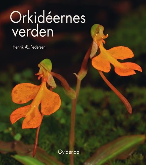 Cover for Henrik Ærenlund Pedersen · Orkidéernes verden (Bound Book) [1º edição] (2023)