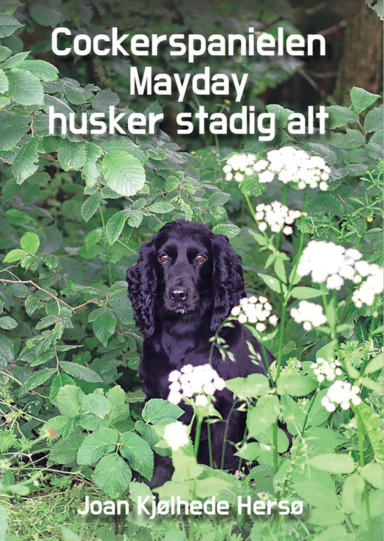 Cover for Joan Kjølhede Hersø · Cockerspanielen Mayday husker stadig alt (Paperback Book) [1st edition] (2025)
