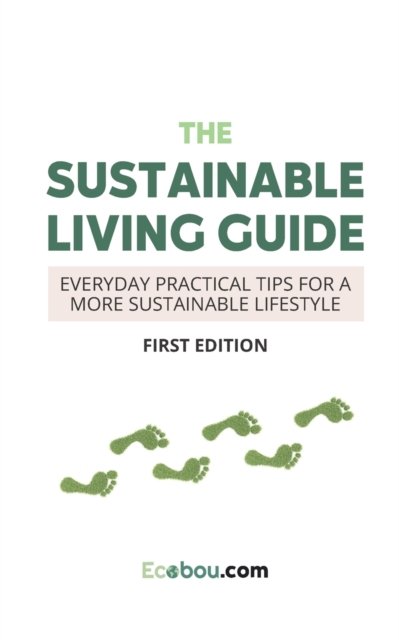 Cover for Both Gabriel Both · The Sustainable Living Guide: Everyday Practical Tips For A More Sustainable Lifestyle (Paperback Bog) (2021)