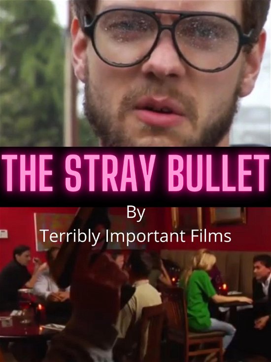 Cover for Feature Film · The Stray Bullet (DVD) (2021)