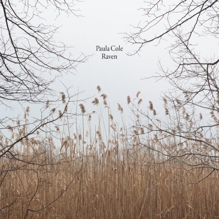 Cover for Paula Cole · Raven (CD) (2013)