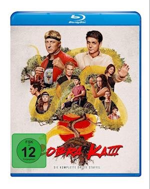 Cover for Cobra Kai Season 3 · Cobra Kai Season 3/2 BD (Blu-ray) (2022)