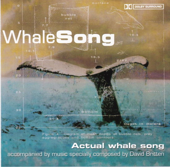 Cover for Whale Song · Whale Song - (CD)