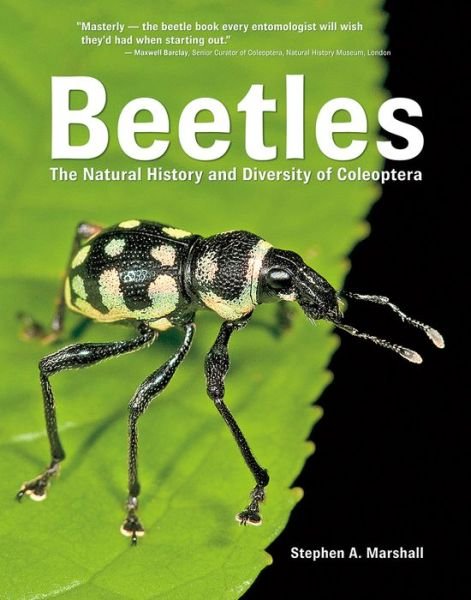 Cover for Stephen A. Marshall · Beetles: The Natural History and Diversity of Coleoptera (Innbunden bok) (2018)