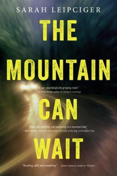 Cover for Sarah Leipciger · Mountain Can Wait (Book) (2016)