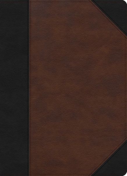 Cover for C. S. B. Bibles CSB Bibles by Holman · CSB Verse-By-Verse Reference Bible, Black / Brown LeatherTouch (Book) (2023)