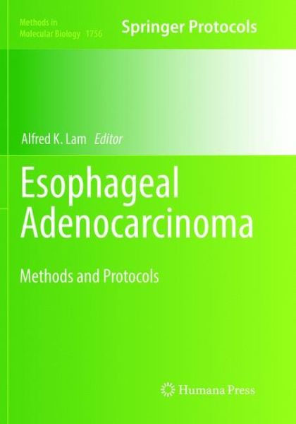Cover for Esophageal Adenocarcinoma: Methods and Protocols - Methods in Molecular Biology (Paperback Book) [Softcover reprint of the original 1st ed. 2018 edition] (2019)