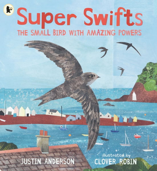 Justin Anderson · Super Swifts: The Small Bird With Amazing Powers (Paperback Book) (2025)