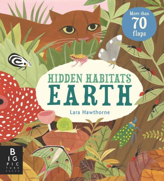 Cover for Camilla de la Bedoyere · Hidden Habitats: Earth (Hardcover Book) (2022)