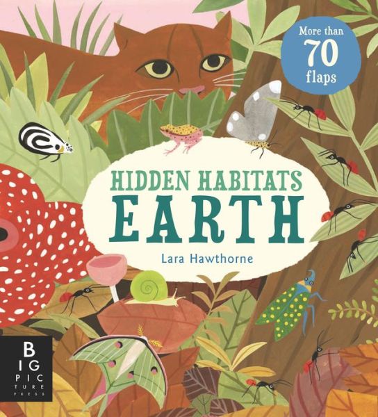 Hidden Habitats: Earth - Camilla de la Bedoyere - Libros - Big Picture Press - 9781536226690 - 1 de noviembre de 2022