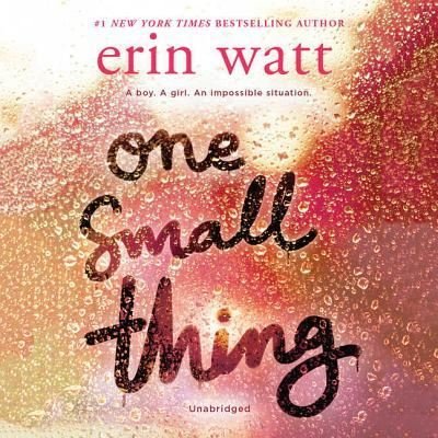 Cover for Erin Watt · One Small Thing (MP3-CD) (2018)
