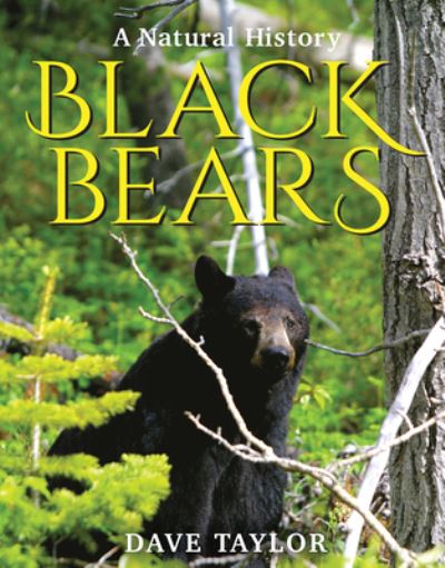 Cover for Dave Taylor · Black Bears A Natural History (Bog) (2021)