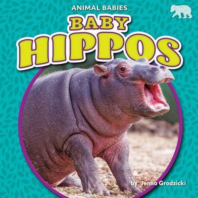 Cover for Jenna Grodzicki · Baby Hippos (Book) (2021)