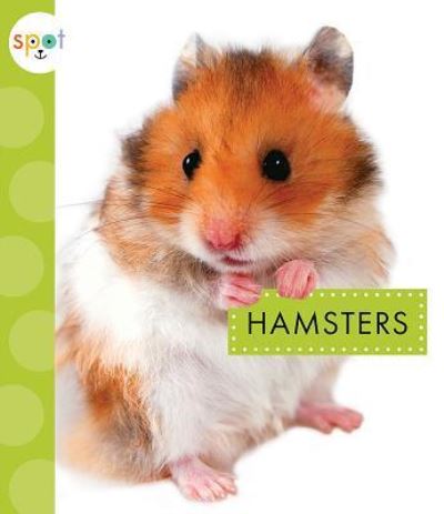 Cover for Mari C Schuh · Hamsters (Hardcover Book) (2018)