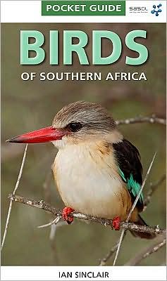 Cover for Ian Sinclair · Pocket Guide Birds of Southern Africa - Pocket Guide (Paperback Book) (2009)