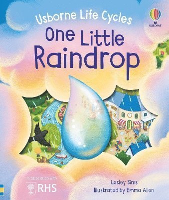 Cover for Lesley Sims · One Little Raindrop - Life Cycles (Kartongbok) (2025)