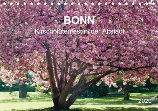 Bonn - Kirschblütenfest in der Alt - Reif - Books -  - 9783670650690 - 