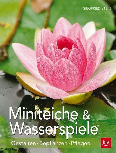 Cover for Stein · Miniteiche und Wasserspiele (Book)