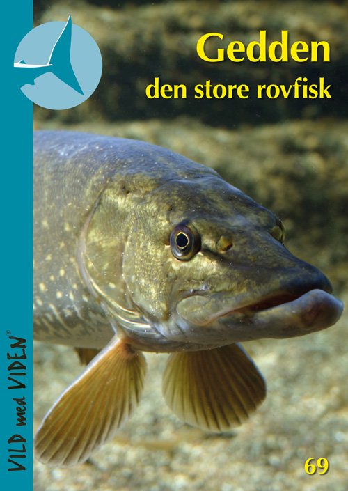 Vild med Viden, Serie 9 Danske vanddyr: Gedden  den store rovfisk - Søren Berg - Bøger - Epsilon.dk - 9788793064690 - 15. oktober 2018