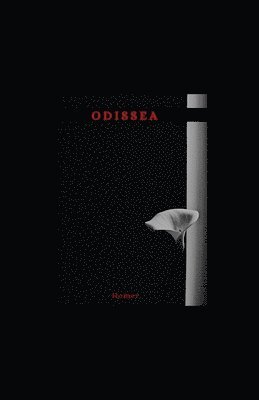 Cover for Homer Homer · Odissea (Paperback Book) (2021)