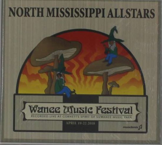 Cover for North Mississippi Allstars · Live at Wanee 2018 (CD) (2018)