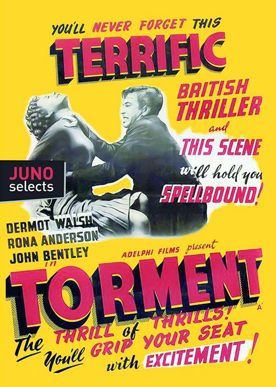 Cover for Torment (DVD) (2019)