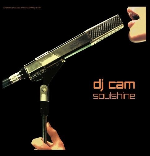 Soulshine - Dj Cam - Musik - DIGGERS FACTORY - 3760370260691 - 25. november 2023