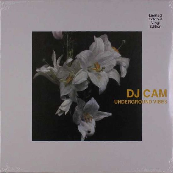 Cover for Dj Cam · Underground Vibes (LP) (2021)