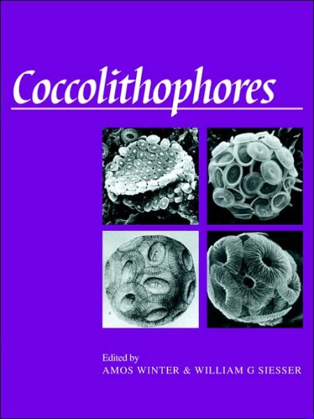 Coccolithophores - Amos Winter - Books - Cambridge University Press - 9780521031691 - November 23, 2006