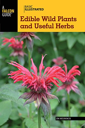 Cover for Jim Meuninck · Basic Illustrated Edible Wild Plants and Useful Herbs - Basic Illustrated Series (Paperback Book) [First edition] (2013)