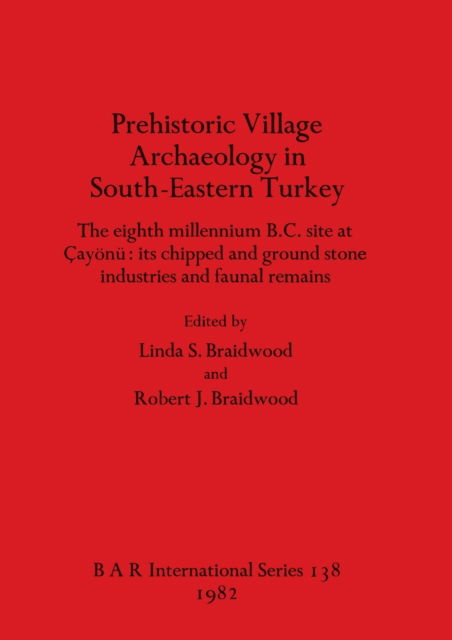 Cover for Prehistoric village archaeology in south-eastern Turkey (N/A) (1982)